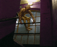 Midnight Madness GIF by The Chemical Brothers