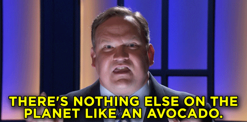 Andy Richter Avocado GIF by Team Coco