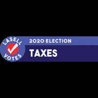 LasellVotes vote election taxes voted GIF