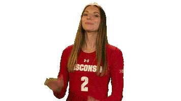 Wisconsin Volleyball Sport Sticker by Wisconsin Badgers