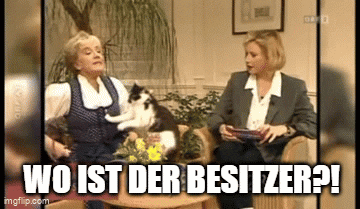 darealgeephee giphyupload cat orf ballistic GIF