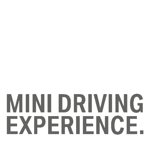 Winter Race Sticker by BMW & MINI Driving Experience