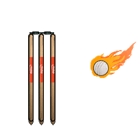 dishtvindia celebration cricket ipl match Sticker