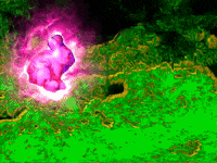 bunny candy GIF by MFD