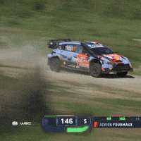 Fast Car Motorsport GIF by FIA World Rally Championship