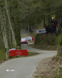 Speeding Fast Car GIF by FIA World Rally Championship