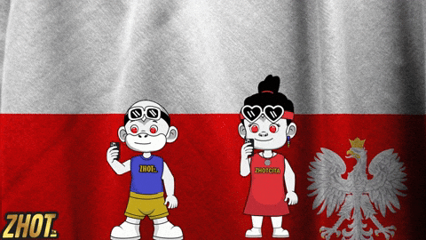 Polish Flag GIF by Zhotcita