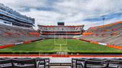 college football GIF by University of Florida