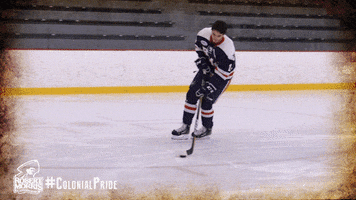 happy ice hockey GIF by Robert Morris University Athletics
