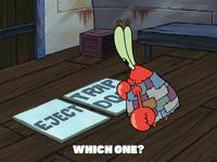 season 5 GIF by SpongeBob SquarePants