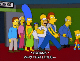 homer simpson shock GIF