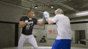 ufc 217 embedded GIF
