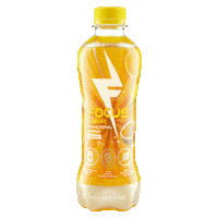 Royalistiq Don De Jong Sticker by Focus Drink