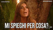 isola13 bianca GIF by Isola dei Famosi