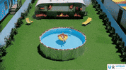 Pool GIF by UniqueBelgium