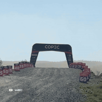 Flying Car Show GIF by FIA World Rally Championship