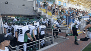 TytaniLublin team power entrance lublin GIF