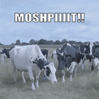 Festival Metal GIF by Wacken Open Air