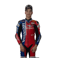 Brag Honda Sticker by WorldSBK