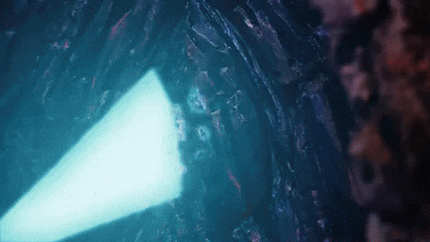 Wtm GIF by Walk The Moon