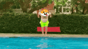 Money Crypto GIF by Baby Doge Coin