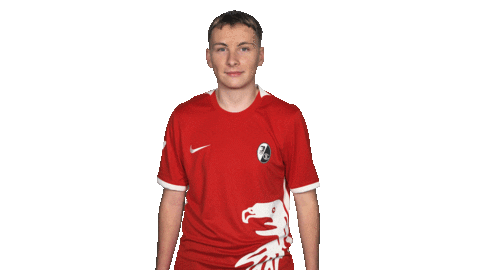 Sc Freiburg Logo Sticker by Bundesliga