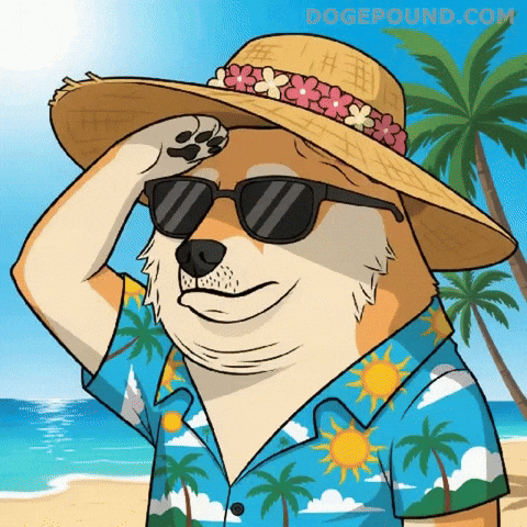 Looking On My Way GIF by Doge Pound