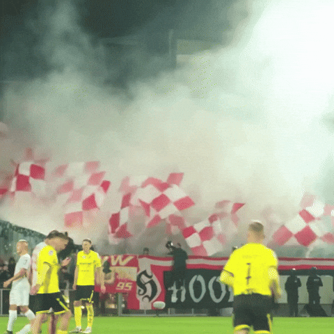 Football Soccer GIF by Widzew Łódź