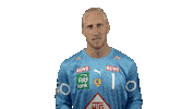 Handball-Bundesliga Handball Sticker by LIQUI MOLY HBL