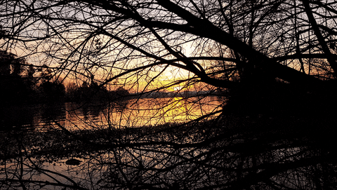 sunset GIF