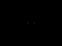 Eastern Orthodox Priest GIF