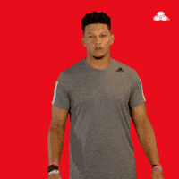 Kc Chiefs No GIF by State Farm