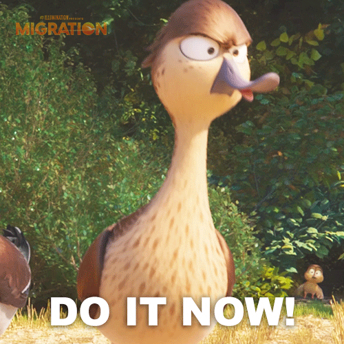 MigrationMovie angry duck marriage proposal GIF