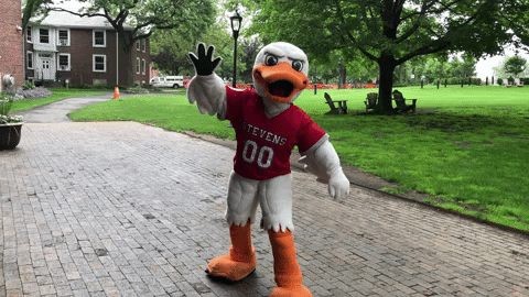 FollowStevens giphygifmaker high five duck same GIF