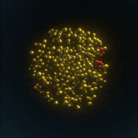 Loop Expand GIF by xponentialdesign