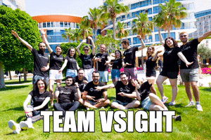 Team GIF by vsight