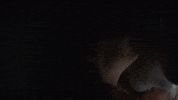 Morning Günaydın GIF by Show TV