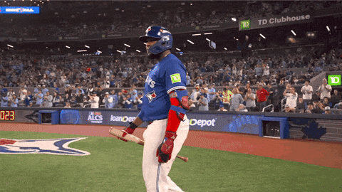 Blue Jays Canada GIF by Toronto Blue Jays