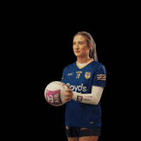 All-Ireland Camogie GIF by AIB