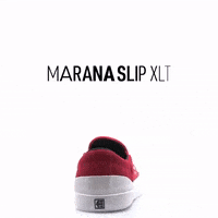 GIF by etnies