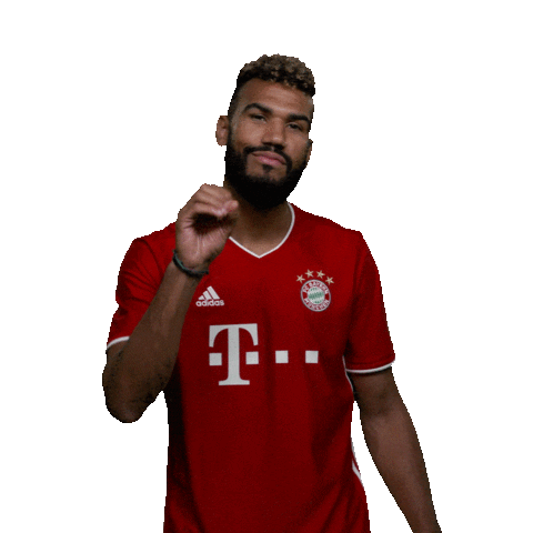 Football Reaction Sticker by FC Bayern Munich