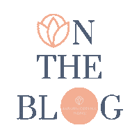 Blog Ontheblog Sticker by AOMoms