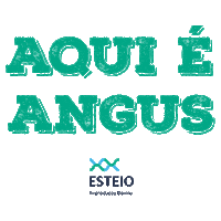 esteioreproducaobovina boi qualidade vem angus Sticker