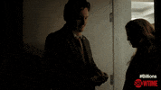 season 1 kiss GIF by Showtime
