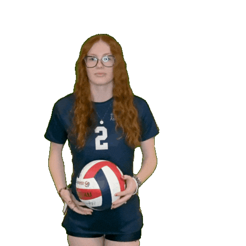 Womens Volleyball Sticker by Clarke University