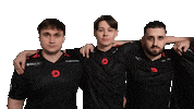 Team Esports Sticker by Dynamo Eclot