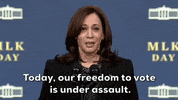 Kamala Harris Mlk Day GIF by GIPHY News
