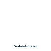 nodotulumcom phrase tulum riviera maya real state Sticker