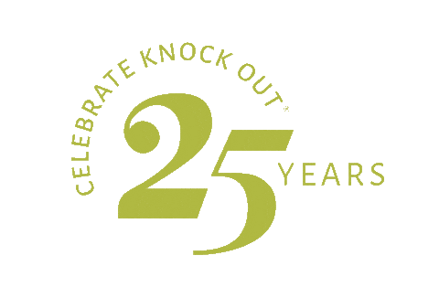 Knockout Sticker by Star Roses and Plants