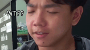 sunbeary GIF